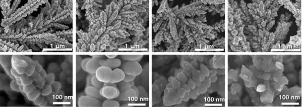 ultrafine dendrite 이미지2