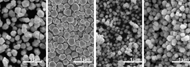 sub-micron 이미지2